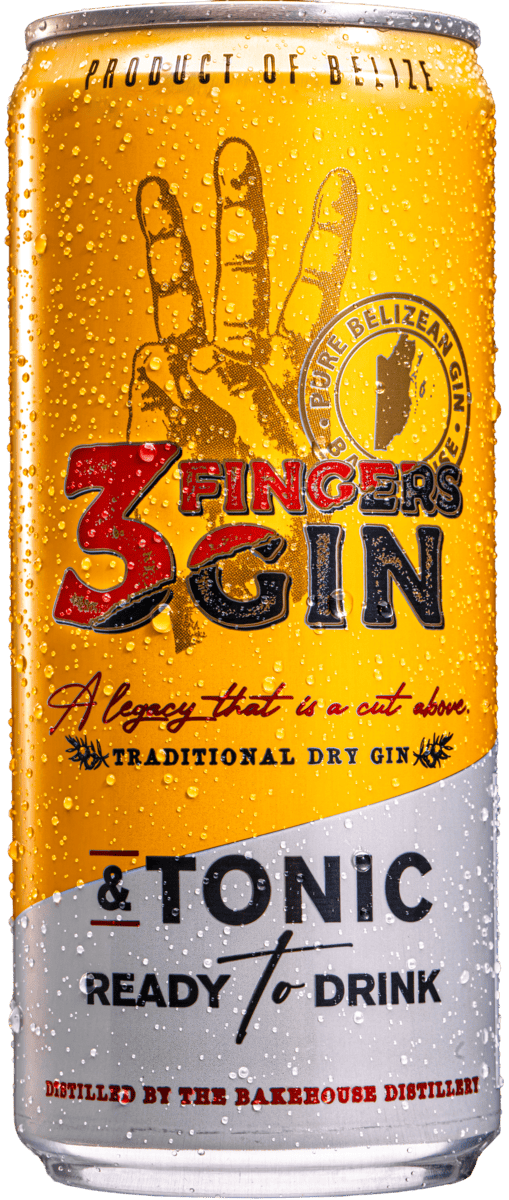 3 Finger Gin and Tonic